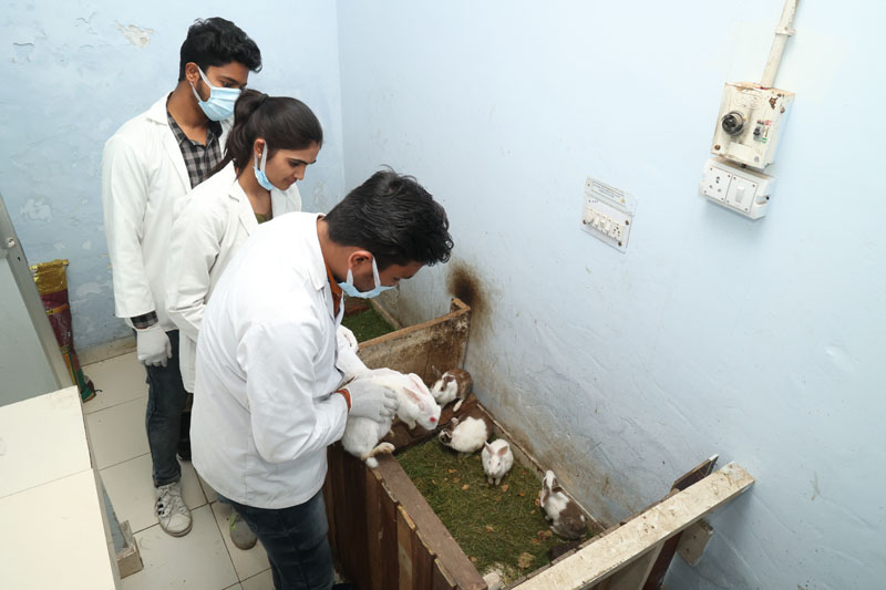 lab-img